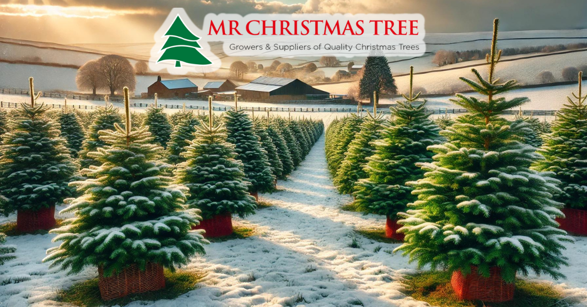 Products Mr Christmas Tree Products Mr Christmas Tree