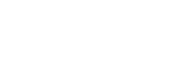 Mr Christmas Tree